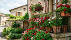 Remplacez les géraniums : 6 vivaces faciles pour un balcon coloré presque toute l’année