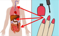 Qu'arrive-t-il à votre corps lorsque vous appliquez du vernis sur vos ongles ?