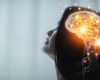 6 habitudes impolies qui pourraient en réalité être des signes d’intelligence
