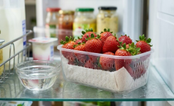 Comment conserver correctement les fraises au réfrigérateur ?