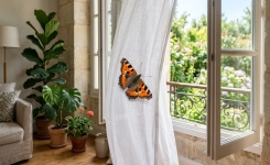 Que signifie la présence d'un papillon dans la maison ?