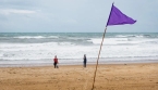 Quelle est la signification du drapeau violet à la plage ? 🌊🏳️‍🟪