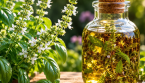 Huile de basilic maison : la recette simple pour profiter de son parfum