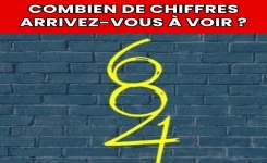 Saurez-vous repérer les chiffres cachés dans cette image ?