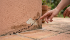 Cette astuce naturelle peut aider à éloigner les fourmis sans insecticide