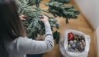 🎄 Quand faut-il vraiment retirer son sapin de Noël ?