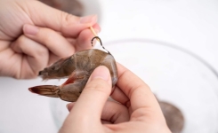 Qu’est-ce que la « veine noire » de la crevette et que se passe-t-il si on la mange ?