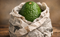 Pourquoi envelopper un avocat vert dans du papier journal ?