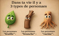 3 types de personnes : feuille, branche ou racine… lesquelles gardez-vous ?