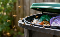Comment éloigner les guêpes autour des poubelles ?