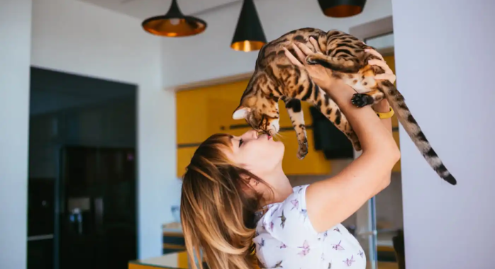 retrouver un chat perdu