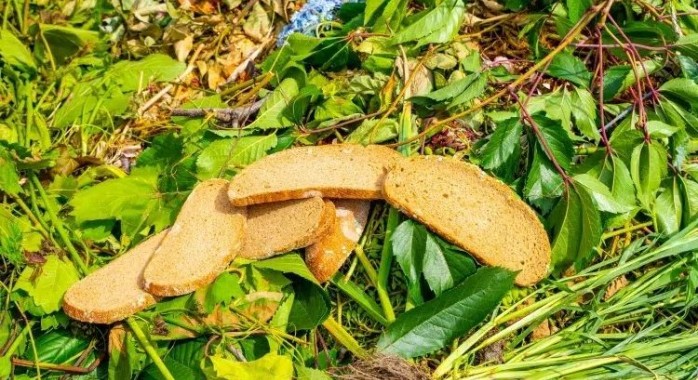 Pourquoi les anciens enterraient-ils du pain sec avant l’hiver ?