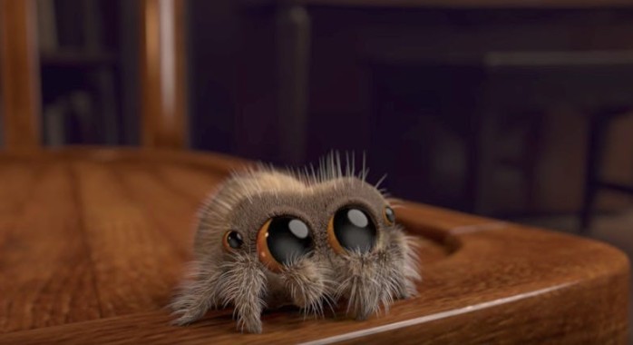 Lucas l’araignée